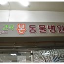 24시 건국 본 동물병원 이미지