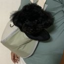 폴리파크 반송점 이미지