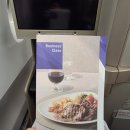 542 | 프랑크푸르트 → 인천 아시아나 비즈니스 스마티움 후기 (OZ542)