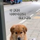 인생은 일장충몽인걸! 너는 어찌...? 이미지