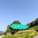 전남 고흥여행 코스 추천 국내 반려견동반 반값여행 후기