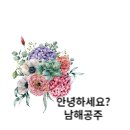 손*희
