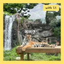 씨&밸리 | 에버랜드 비오는 평일 후기, 로스트밸리 사파리 비교