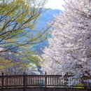 광천 하상주차장 이미지