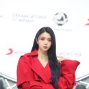다미 이미지