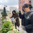 라온유치원 이미지