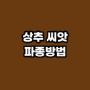 상추밭에돈 이미지