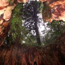 동화 속 만들기 세상 이미지