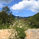 가향펜션 이미지