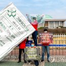 그린피스약국 이미지