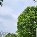 센트럴가정의학과의원