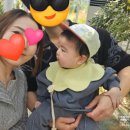 2020-369 | (수원 수목원)데이트코스 일월수목원 아기랑 가볼만한곳 입장료 주차정보