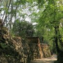 강골민박 이미지