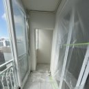 국화한신 이미지