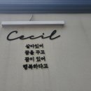 아트카페세실