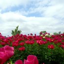 화순군산림조합 이미지