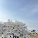 상동 469 이미지