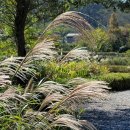 대청호오백리길 두메마을길 이미지