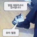 신관로 이미지