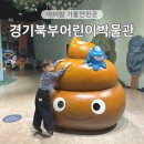 2025 경기북부어린이박물관 초청전시 《내 마음은 풀 Full》 | 동두천 경기북부어린이박물관 서울근교 아이랑 가볼만한곳 주말 나들이 추천