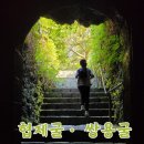 1971빙떡 | 제주 한림공원 협재굴 쌍용굴 방문 후기 및 이용안내
