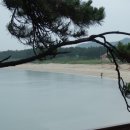 홍도엘도라도 이미지