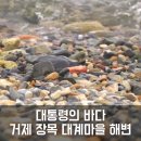 대계마을해변 이미지