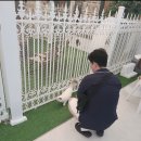 브룩스캣슬 이미지