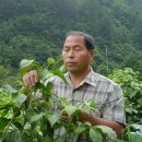 연일농장 이미지