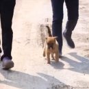 대박농장 이미지