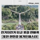2026 포천 한탄강 봄 가든페스타 입장료, 주차, 전기자전거 총정리🌸