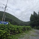 (대전) 상소동 산림욕장, 한국의 앙코르와트 돌탑공원(26.7.9.목.백호트레킹3코스) 이미지