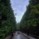 삼일목장 이미지