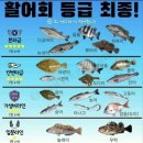 인천 락 실내바다낚시터 이미지