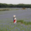 솔뫼목장 이미지