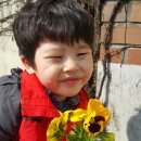 해바라기어린이집마당 이미지