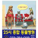 25시 종합동물병원 이미지