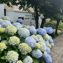 남상보건지소 이미지