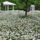 악양생태공원 이미지