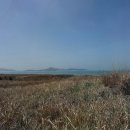 스테이 숨쉼 이미지