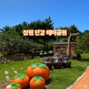 배화유치원 이미지