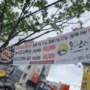 숲과오리다섯번째이야기 이미지