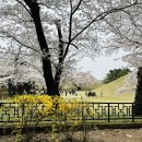 대릉원 화장실 이미지