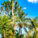 해구농장 이미지