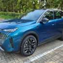 대조-003 이미지