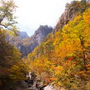 제 539차 설악산 대청봉1708.1m ~공룡,천불동,울산바위 명산100 26.10.10 이미지