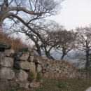 영광 법성진성 이미지