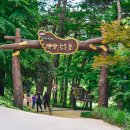 물무산행복숲둘레길 | 영광 물무산 황토길 둘레길 행복숲 맨발 걷기