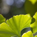 아산정약국 이미지