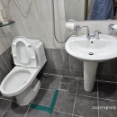 거일리 | 울진 거일리펜션 후기!